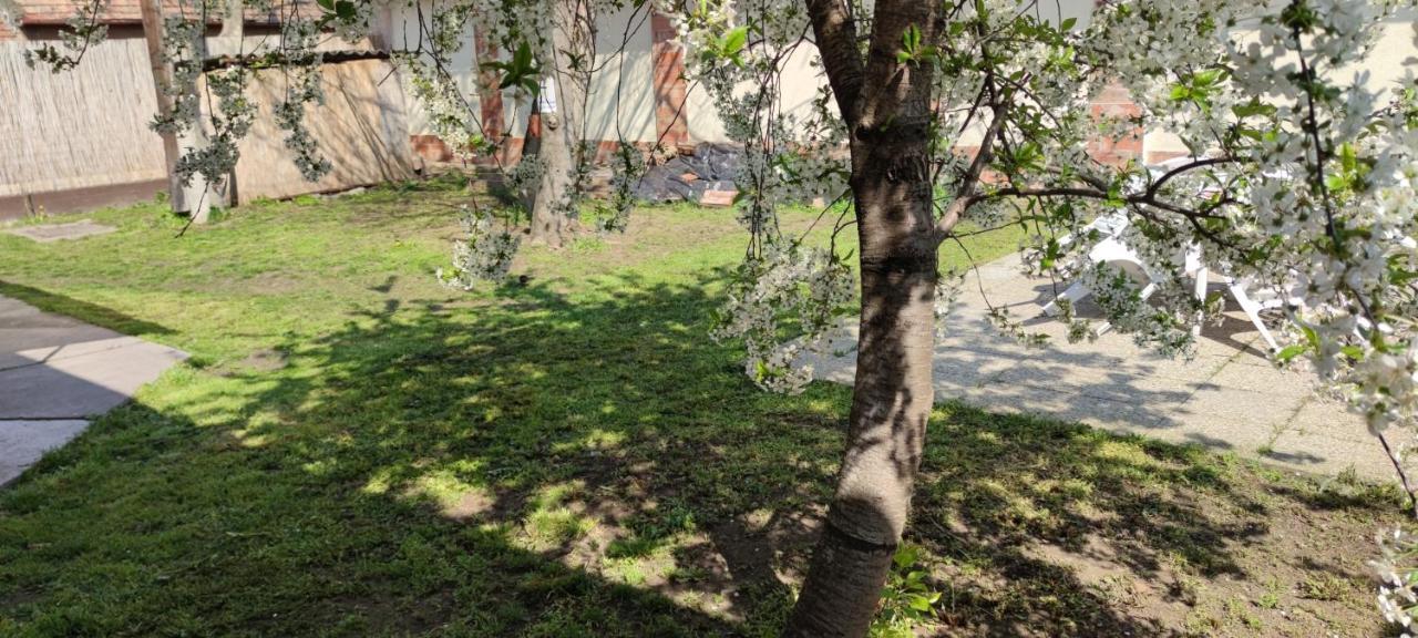 Orsi Apartman / vendegház Kecskemét Esterno foto