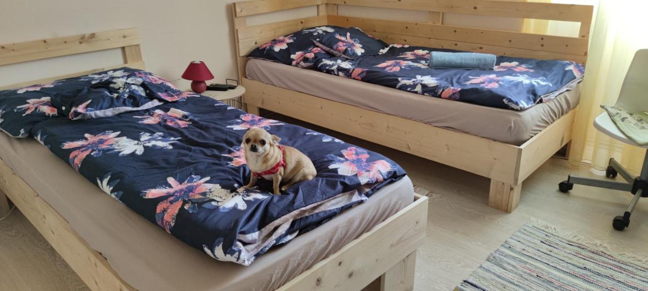 Orsi Apartman / vendegház Kecskemét Esterno foto